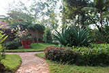 Coorg Holiday Home